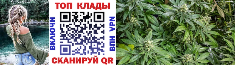 Альфа ПВП Прокопьевск