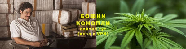 2c-b Кукмор