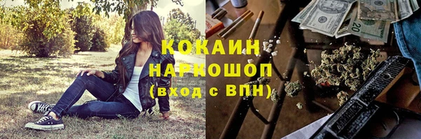 apvp Богородск