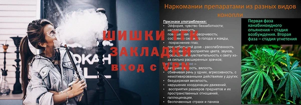 первитин Богданович