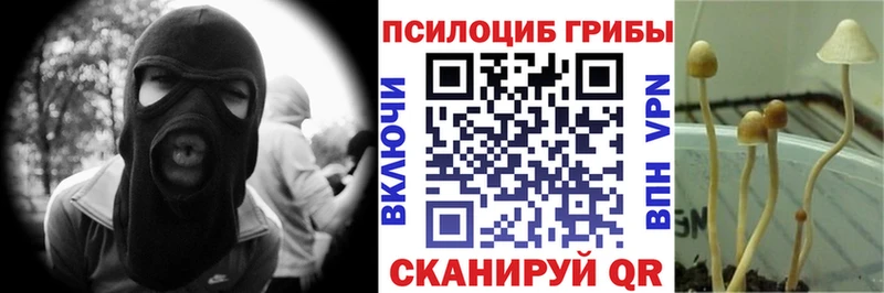 Галлюциногенные грибы Magic Shrooms  закладки  Прокопьевск 